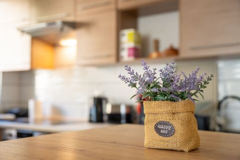 Pandora Apartman -14