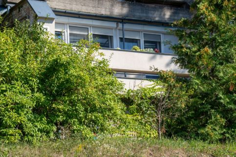 Pandora Apartman -22