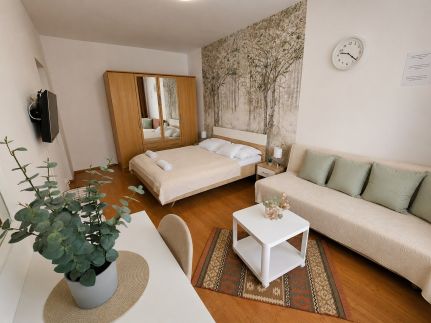 Kinga Kölcsey Apartman6
