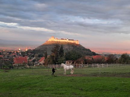 Horizon Vendégház13