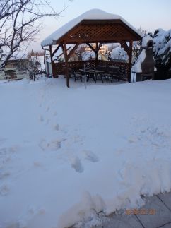 Dr.Julius Apartmanház20