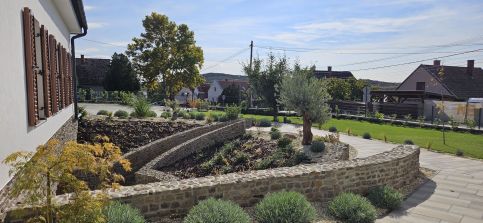 Villa Olea Apartman3