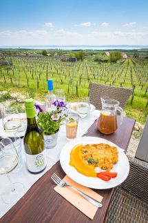 Tagyon Birtok Tulipán Apartmanház1