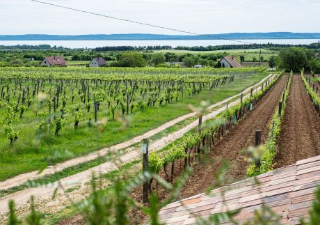 Tagyon Birtok Tulipán Apartmanház2