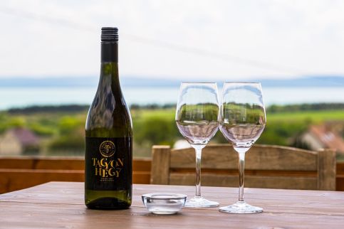 Tagyon Birtok Tulipán Apartmanház3