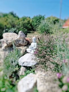 Royal Panoráma Vendégház14