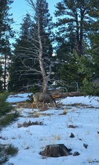 Royal Panoráma Vendégház15