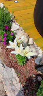 Royal Panoráma Vendégház23