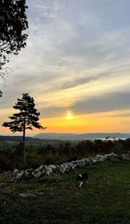 Royal Panoráma Vendégház24