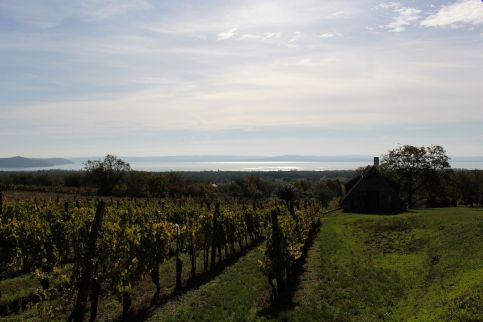 Royal Panoráma Vendégház26