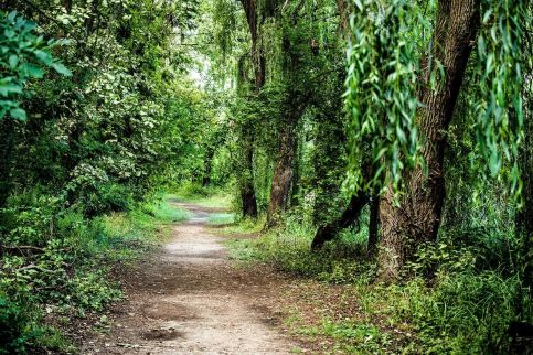 Royal Panoráma Vendégház28