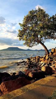 Royal Panoráma Vendégház32