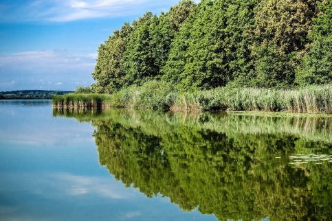 Royal Panoráma Vendégház33