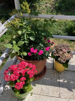 Erika & Gábor ART LOFT10