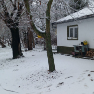 Majs-lakó