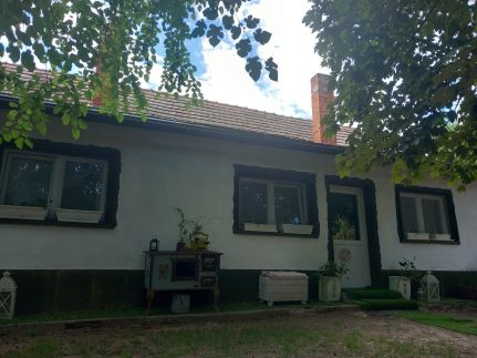 Majs-lakó – Kiskunmajsa fotó 31