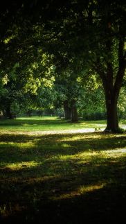 Bétel Családi Vendégház12