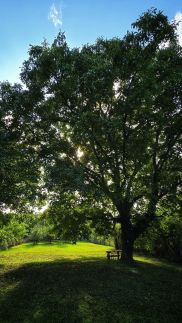 Bétel Családi Vendégház19