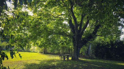 Bétel Családi Vendégház21