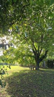 Bétel Családi Vendégház22