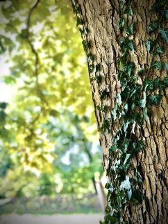 Bétel Családi Vendégház36