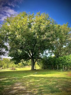 Bétel Családi Vendégház37