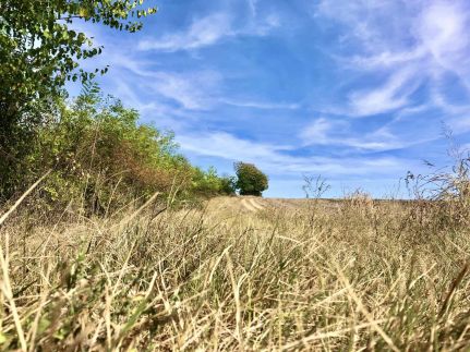 Bétel Családi Vendégház41