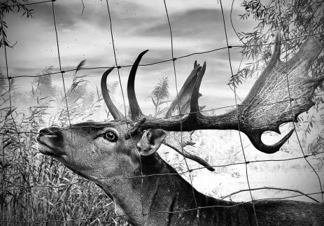 Bétel Családi Vendégház42