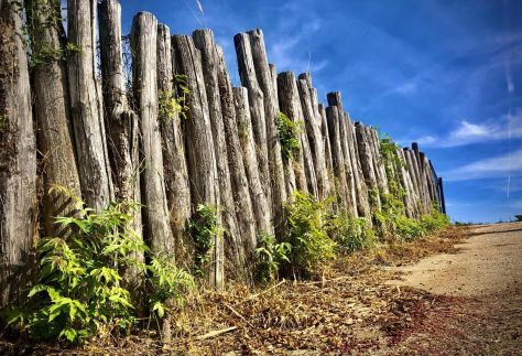 Bétel Családi Vendégház45