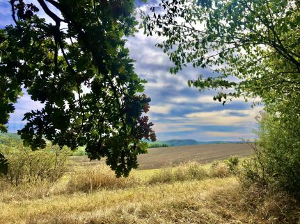 Bétel Családi Vendégház48