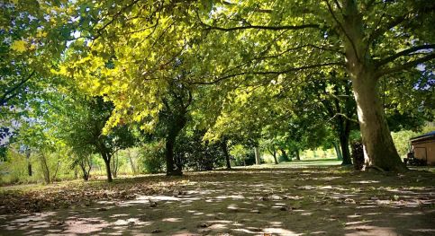 Bétel Családi Vendégház6