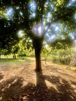 Bétel Családi Vendégház8