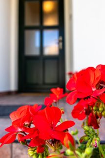 Vadgesztenyés Vendégház2