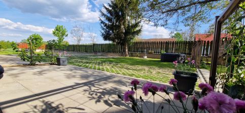 Levendulás Házikó12