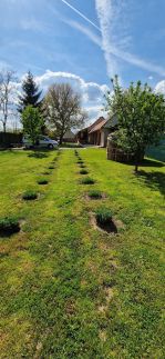 Levendulás Házikó13