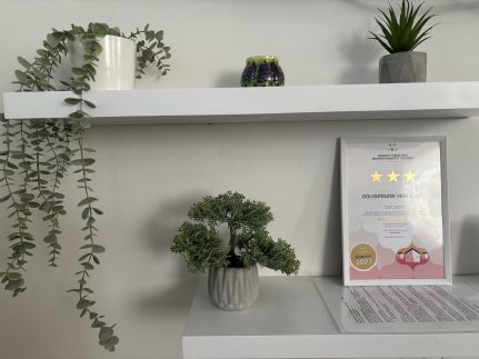 Gólyafészek Vendégház10