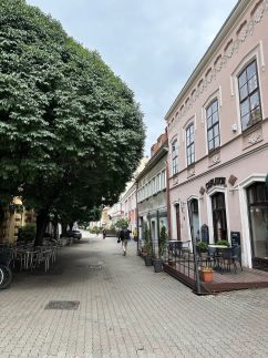 Apartment St Moor 117