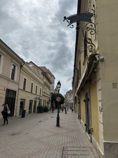 Apartment St Moor 118