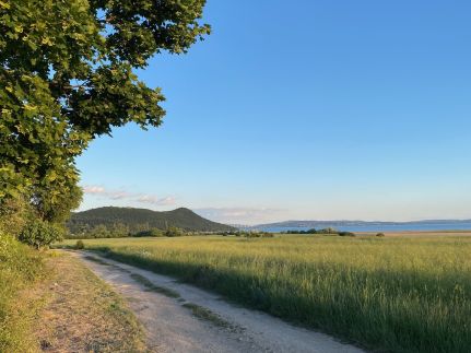 Ablakalúdra Apartmanok36