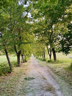 Ablakalúdra Apartmanok37