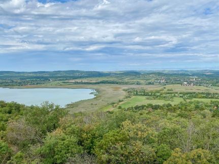 Ablakalúdra Apartmanok42