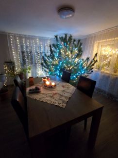 Völgycsillag Apartman10