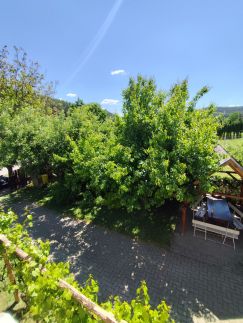 Völgycsillag Apartman7