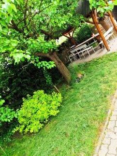 Völgycsillag Apartman8