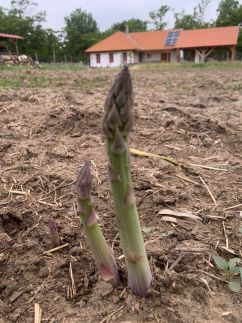 Pásztor-Tanya Vendégház30