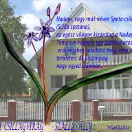 Nadapi Csillagvirág Apartman