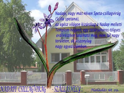 Nadapi Csillagvirág Apartman