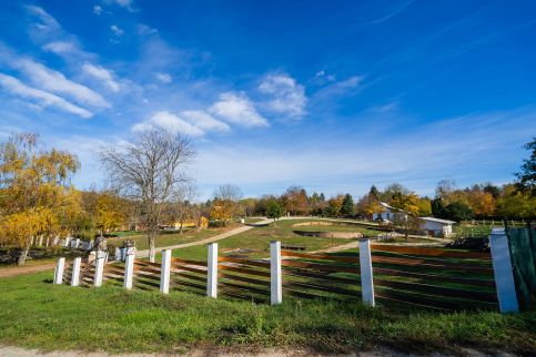 Non Stop Apartman 118