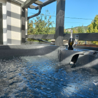 Lenvirág Vendégház