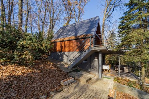 Bohém Kabin & Wellness9